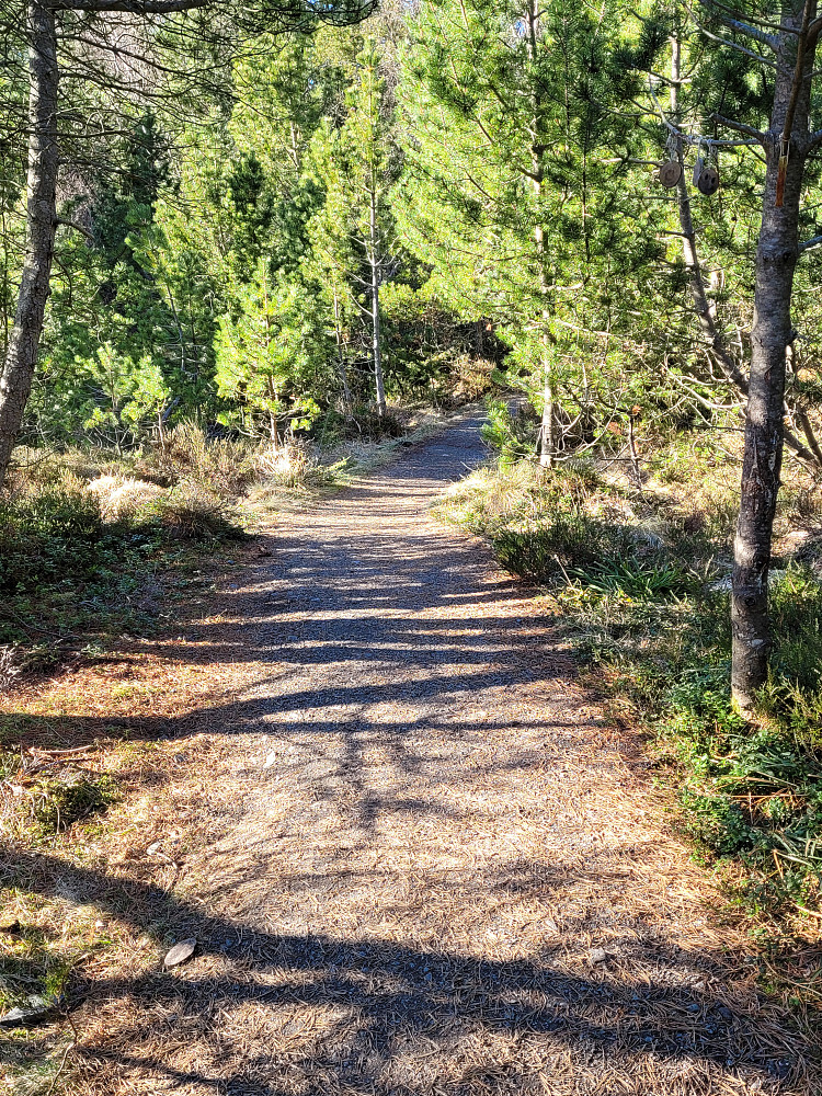 Et stykke av stien som går langs fjellet.