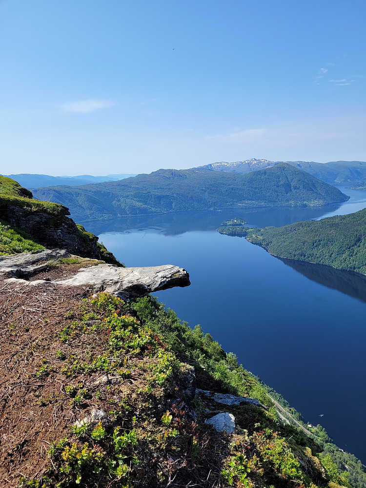 Bjødnanebbet