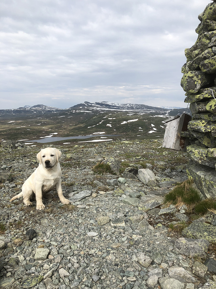 Storm på Nonstjønnkampen. Første topptur for Storm.