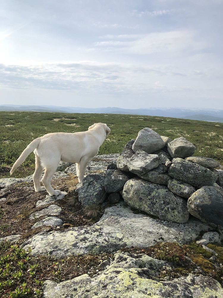 Storm på Vetafjellet