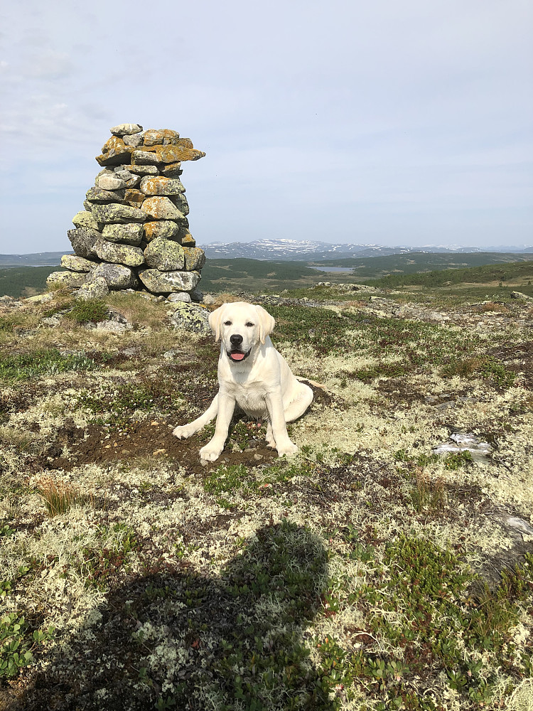 Storm på sørtoppen