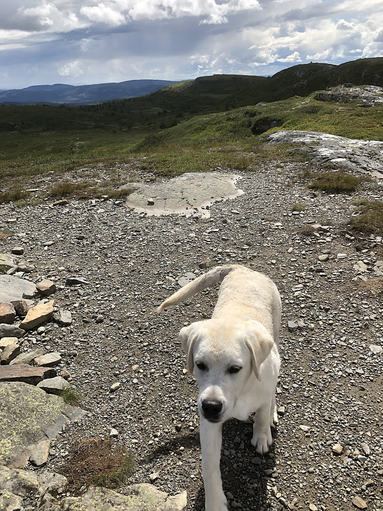 Storm på Gammelhans