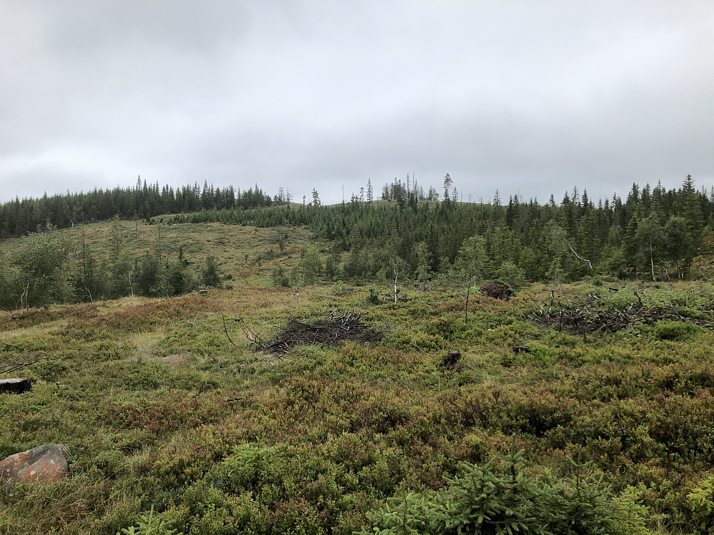 Glæstadhøgda