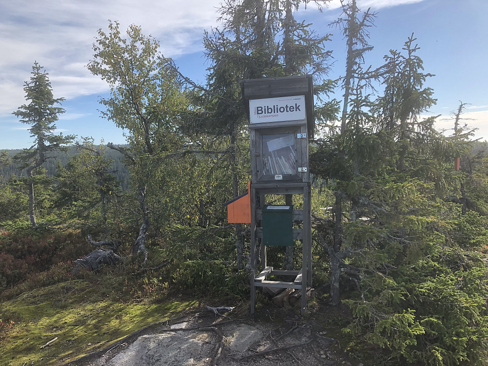 Biblioteket på Tjuvåskampen