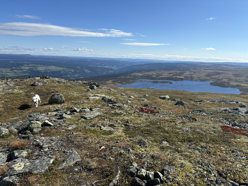 Nydelig utsikt utover Nedre Ongsjøen