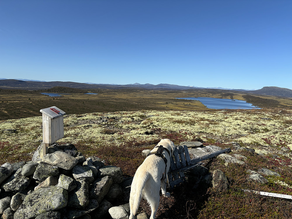 På Mossfjellet