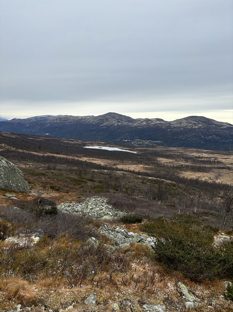 Gråhøer fra lia nedenfor Leppskardet.