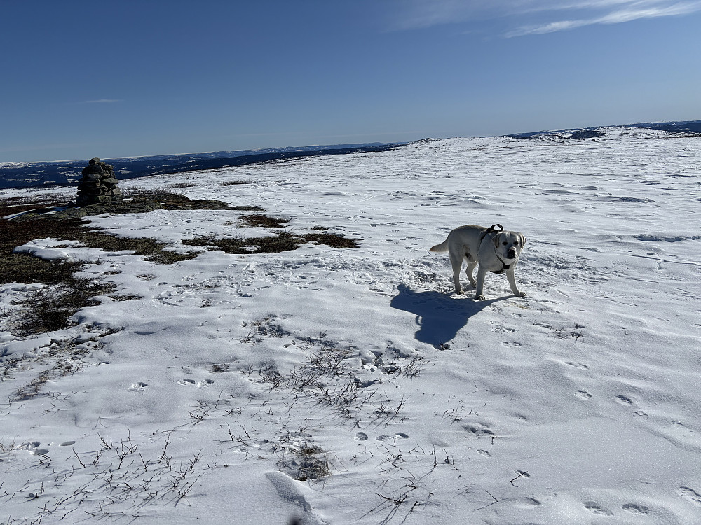Storm på Vetafjellet