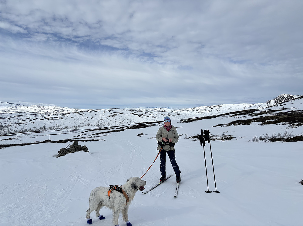 På Leppskardet