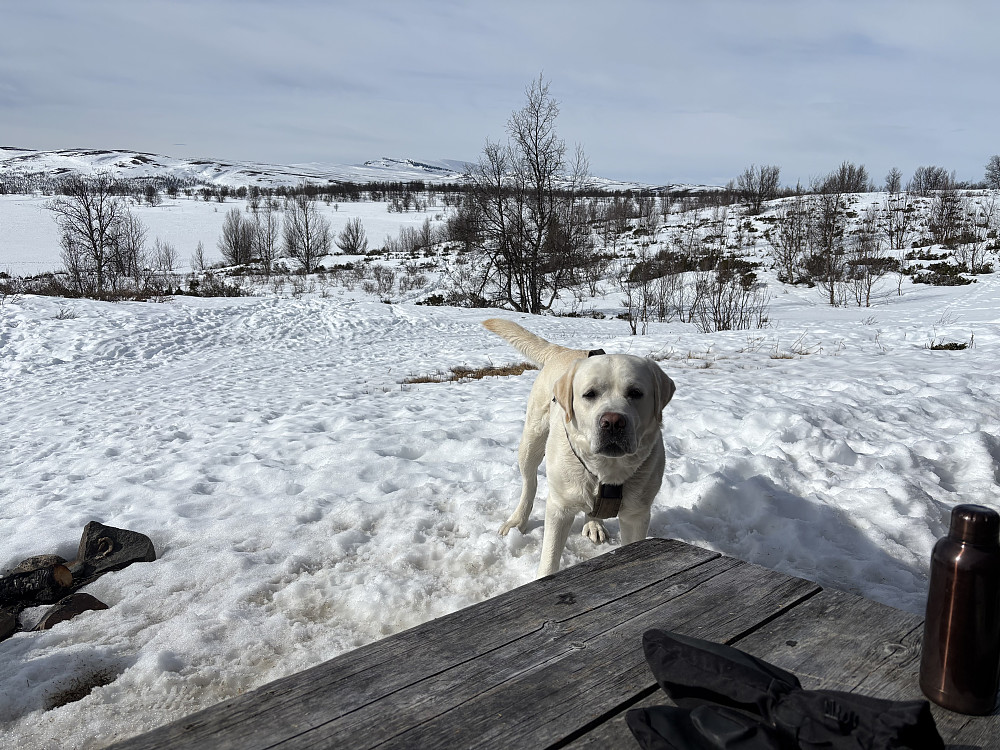 Storm på Leppehytta