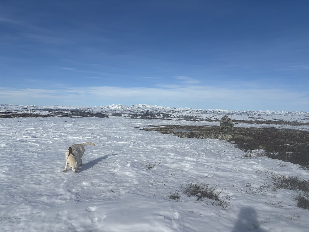 Storm på Vetafjellet