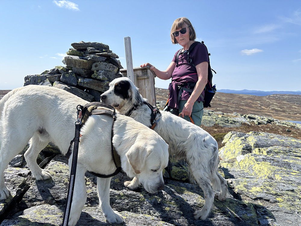 Storfjellet, Topptrimkort stemplet.