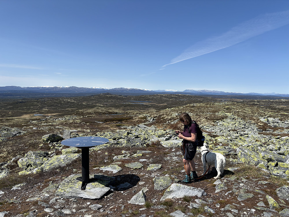 Sikteskiva på Slagsfjellet.