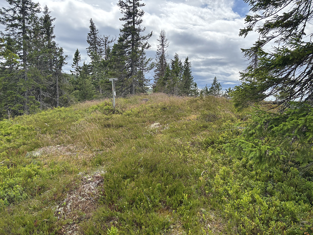 På Svartåsen