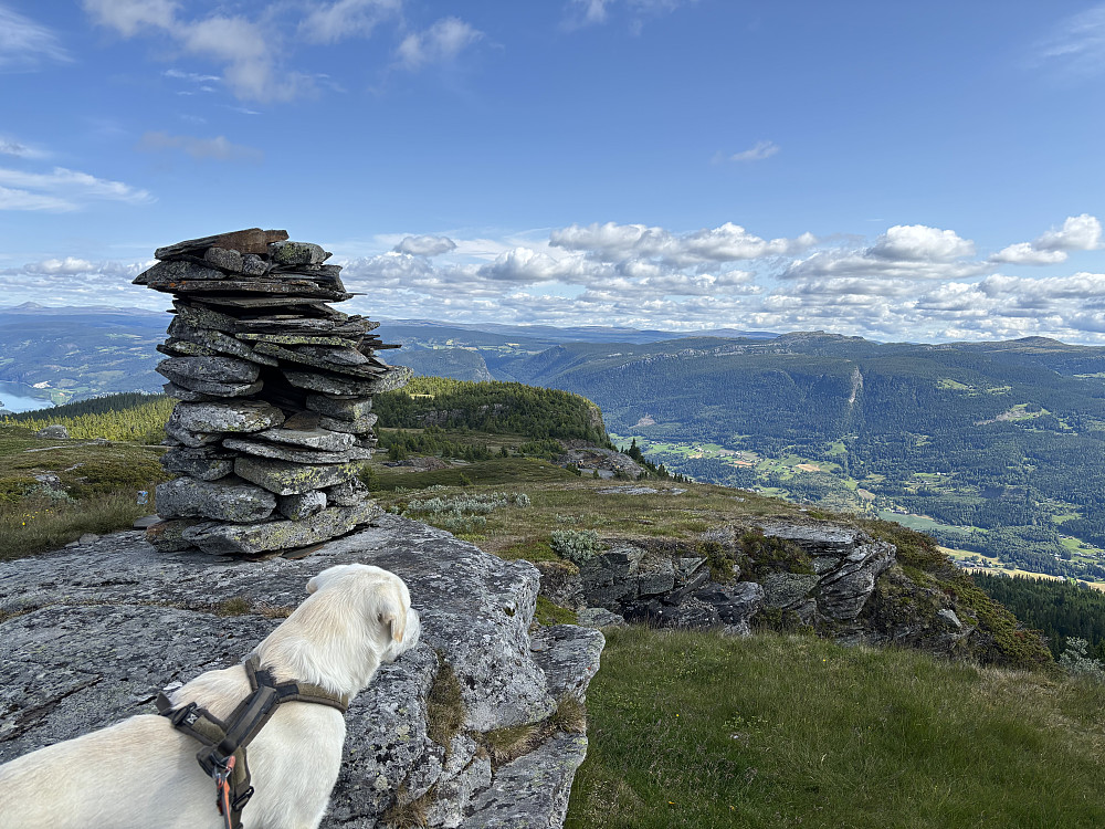 Linvikknappen