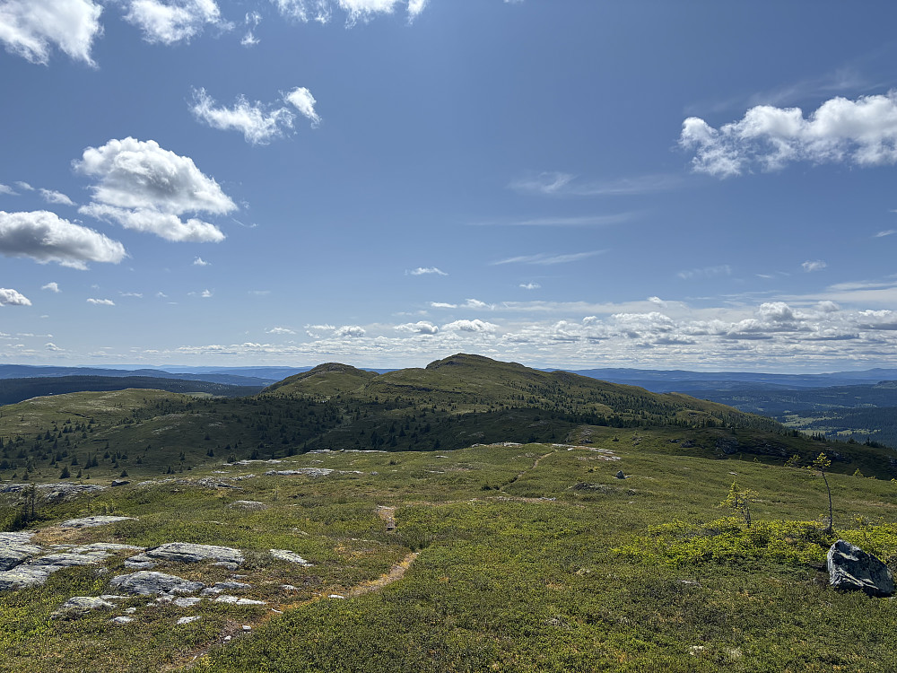 Utsikt fra Skjenafjellet