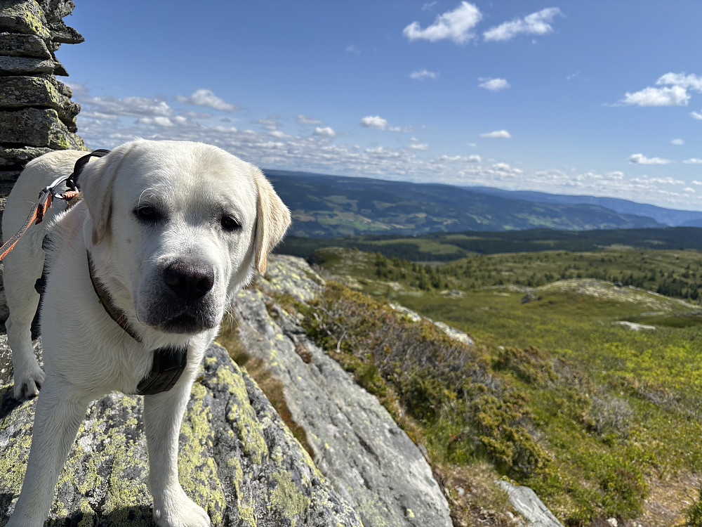 Storm på Skjenafjellet