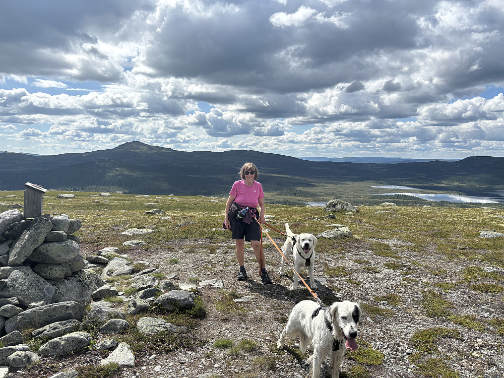 På Vågskardfjellet