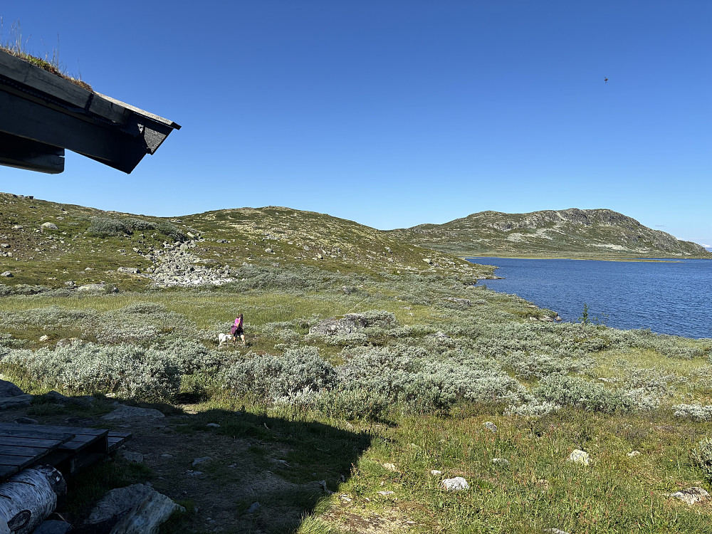 Ved Røssjøkollhytta