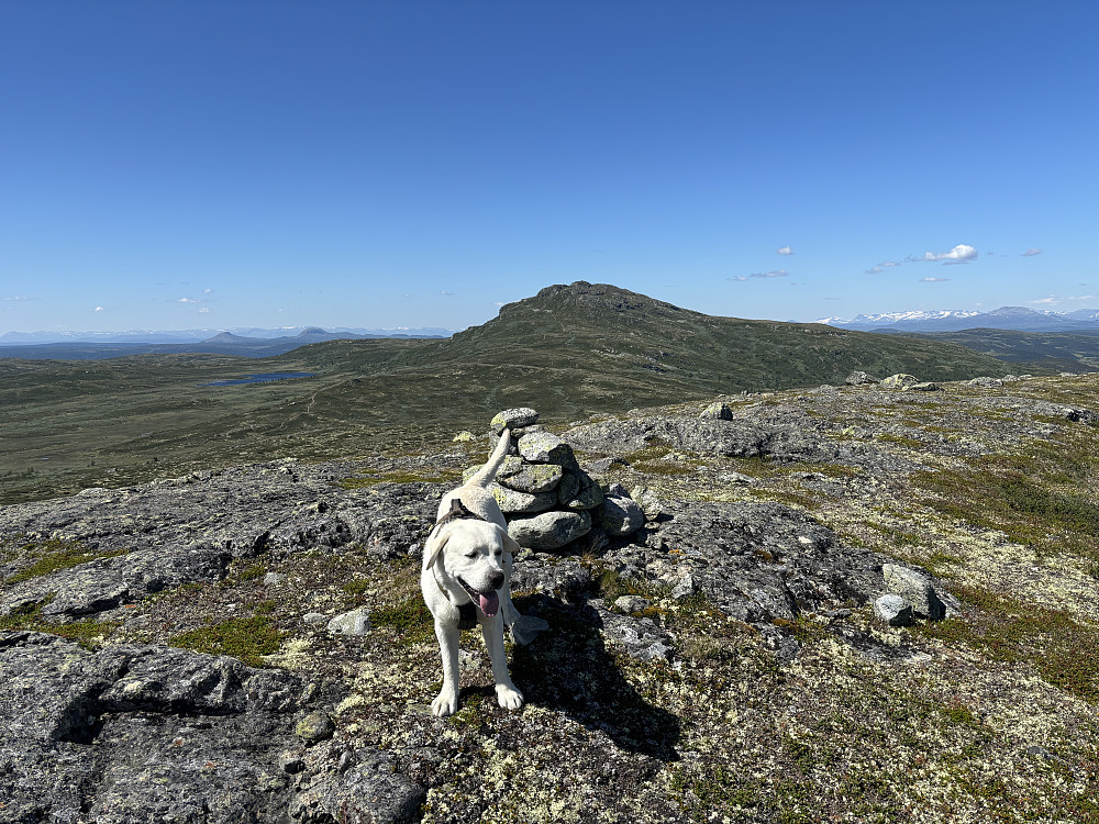 Storm på Tørrisknatten mot Djuptjernkampen