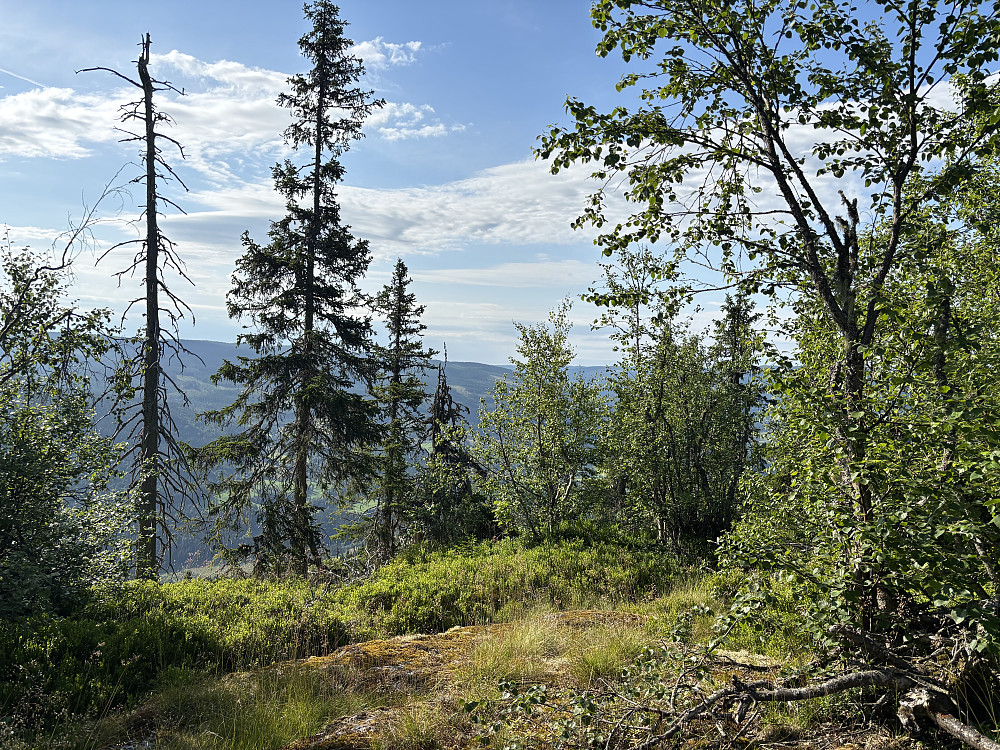På Vardkampen