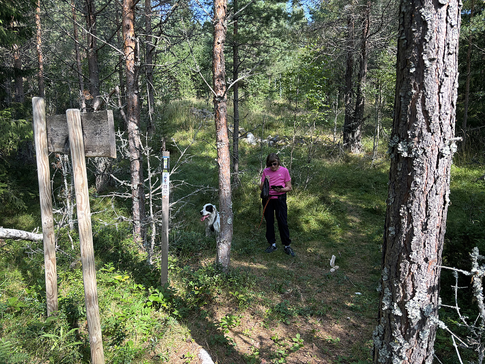 På sti i utvandrerløypa.