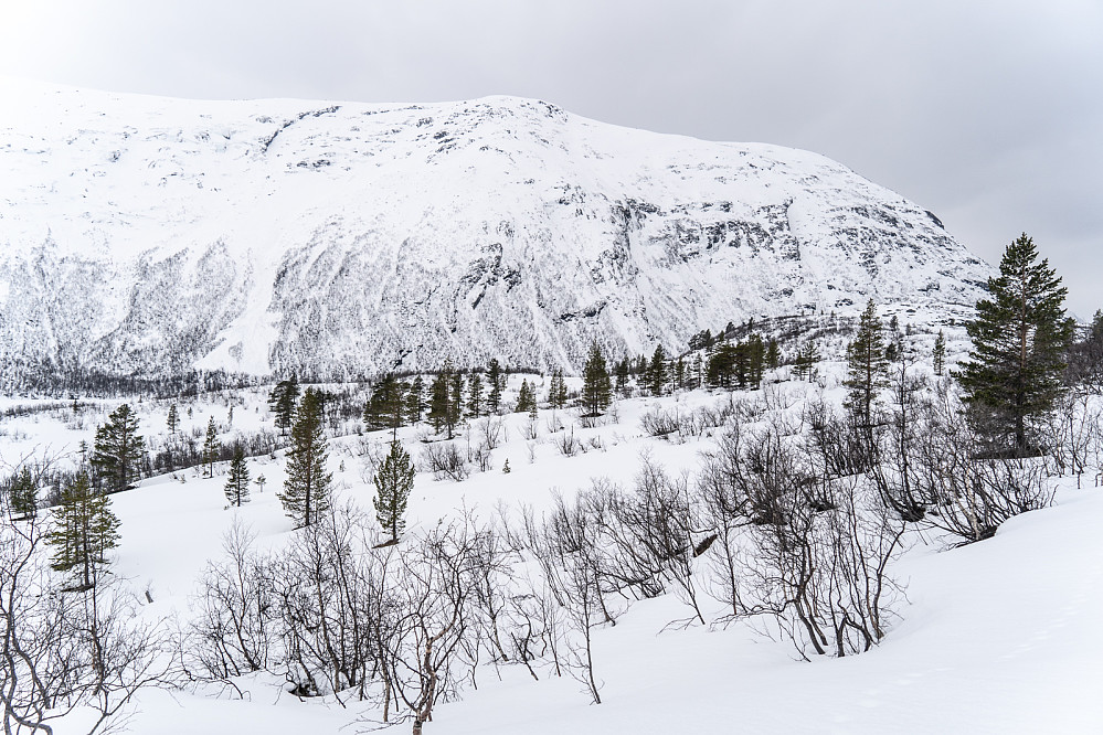 View from Reindalen valley towards Rødalsegga