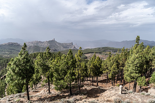 View from Pico de las Nieves towards Roque Nublo