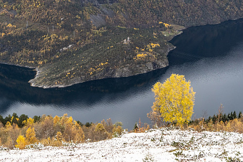 View from Nysætra towards Tafjorden