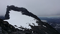 raroa_20220116_61e47c5c899f6.jpg