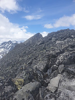 raroa_20220116_61e4878157ac3.jpg