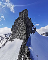 raroa_20220116_61e48afb73e21.jpg
