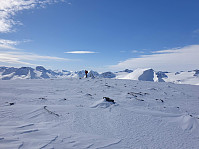 raroa_20220119_61e862fe9f7d0.jpg
