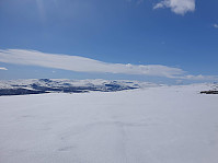 raroa_20220125_61efd72fdfbe7.jpg