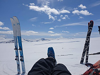 raroa_20220125_61efd7311b6b9.jpg