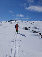 raroa_20220125_61efd7325774f.jpg