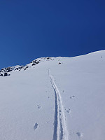 raroa_20220125_61efdb6aee8f3.jpg