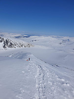 raroa_20220125_61efdb6ec27c7.jpg