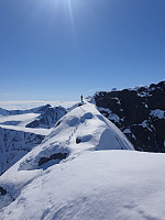 raroa_20220125_61efdb718c745.jpg
