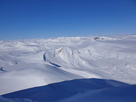 raroa_20220222_62154adc6dccb.jpg