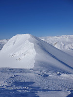 raroa_20220222_62154add265f9.jpg