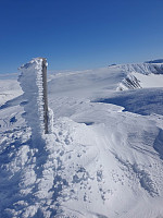 raroa_20220222_62154addc74c5.jpg