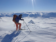 raroa_20220222_62154ade86e5d.jpg