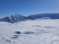 raroa_20220222_62154adf3f587.jpg