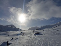raroa_20220222_62154ce21f6ec.jpg
