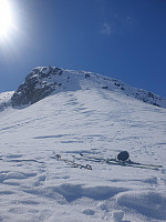 raroa_20220222_62154f5a6b5a1.jpg