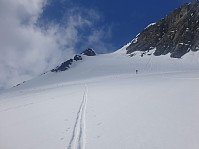 raroa_20220222_62154f5d7e5b6.jpg