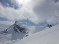 raroa_20220222_62154f5e39b51.jpg