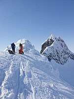 raroa_20220222_621551006d2aa.jpg
