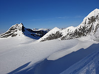raroa_20220327_6240873a1aa7b.jpg